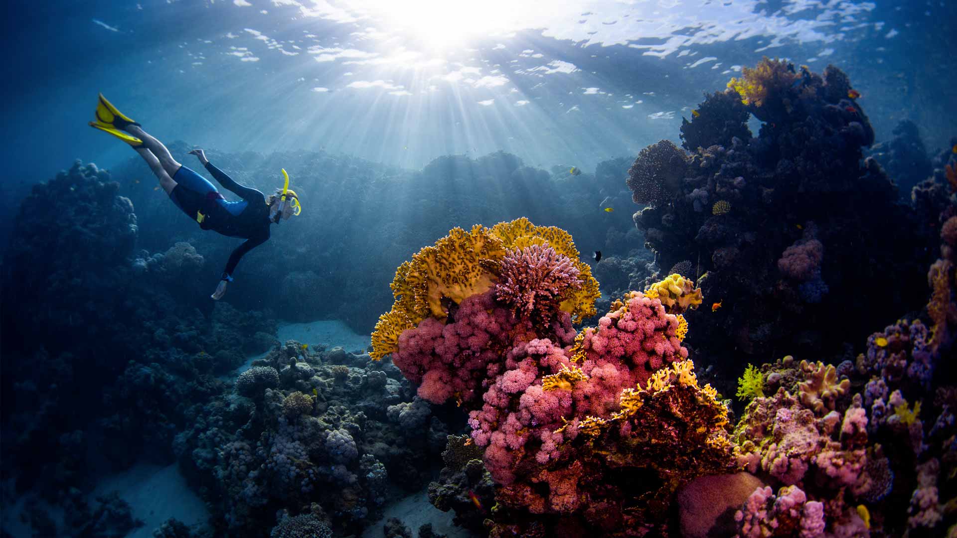 Conseils Progresser En Apnee