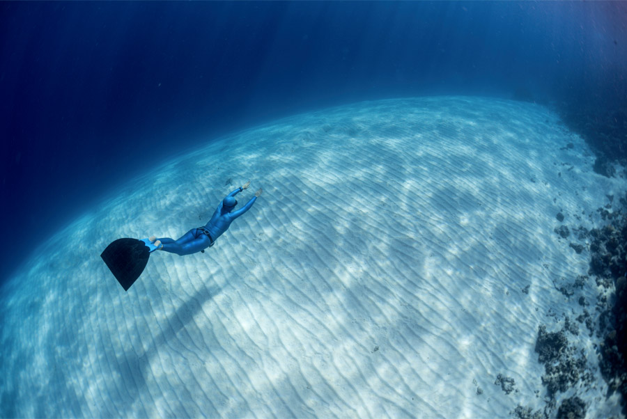 Palmes Apnee Sous Marine