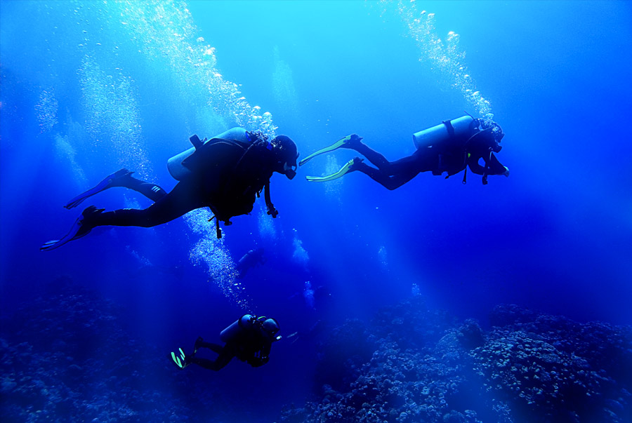 Entretien Gilet Stabs Plongee