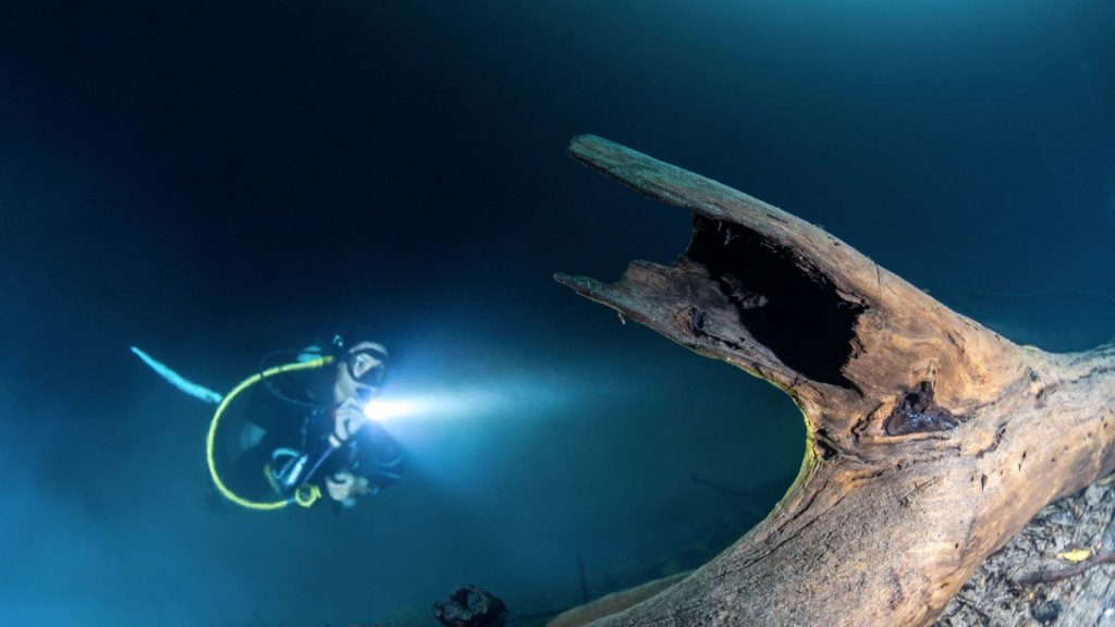 Image Comparaison Puissance Lumineuse Flash Sous Marin