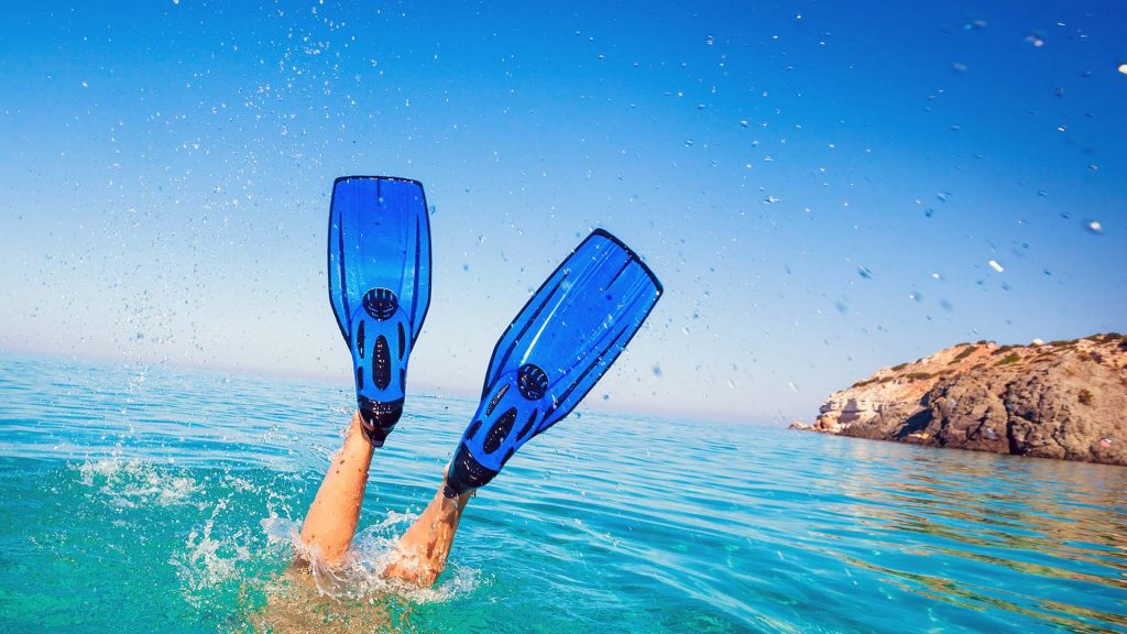 Mise En Avant Blog Palmes