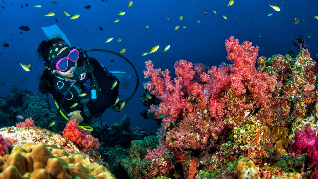 Image Mise En Avant Article Accessoires