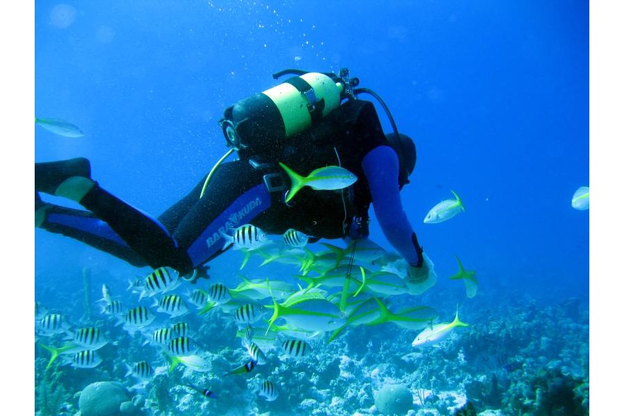 Diving Plongee Cuba Queens Gardens 3