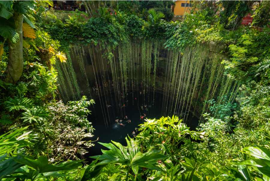 Plongee Sous Marine Voyage Playa Del Carmen 5