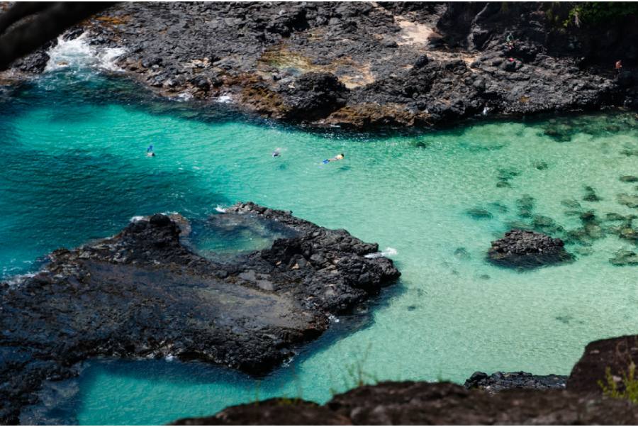 Plongée Sous Marine Fernando De Noronha Bresil Voyage 1