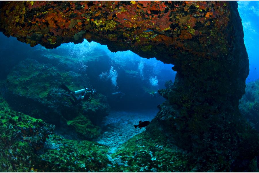 Plongée Sous Marine Fernando De Noronha Bresil Voyage 3