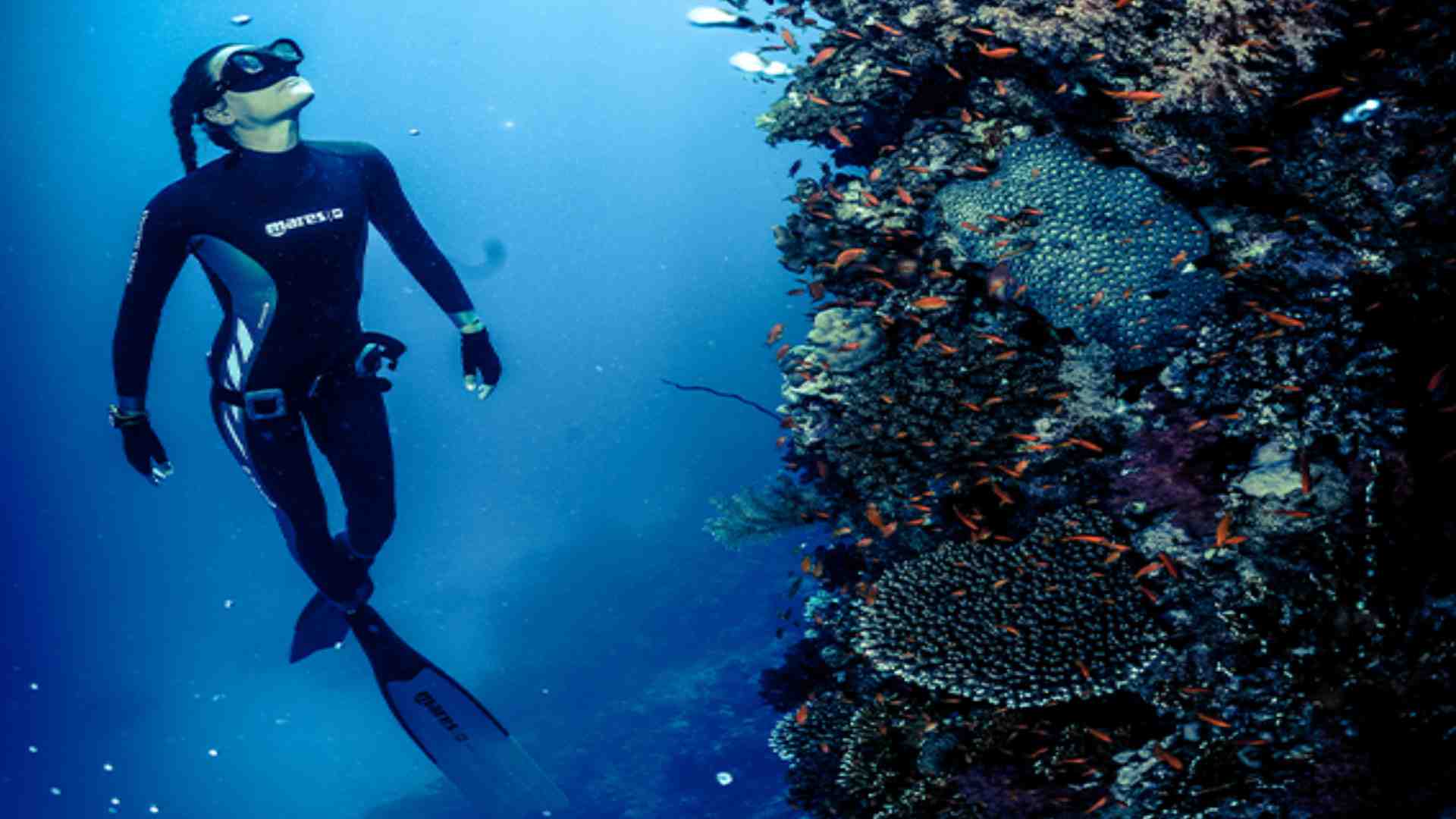 nouveautes apnee mares