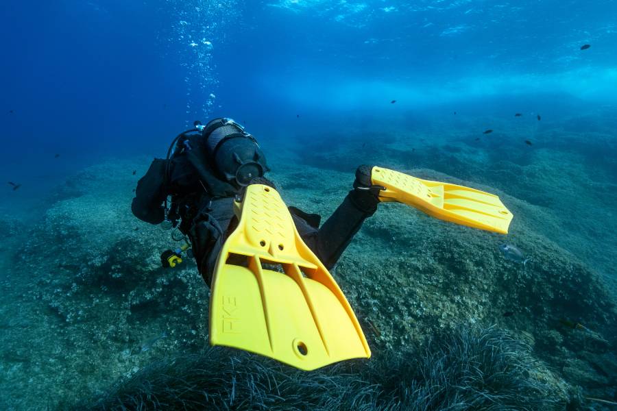 palmes apeks plongee tek