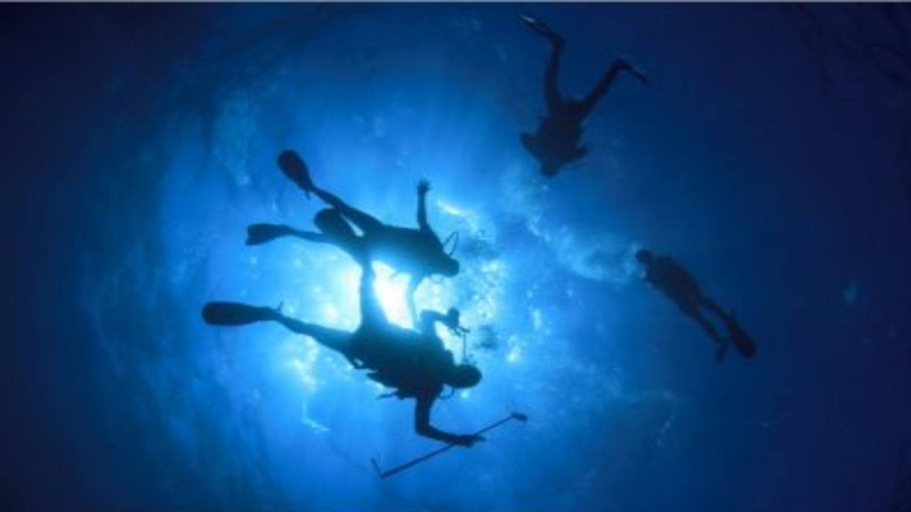 blog subchandlers (1)