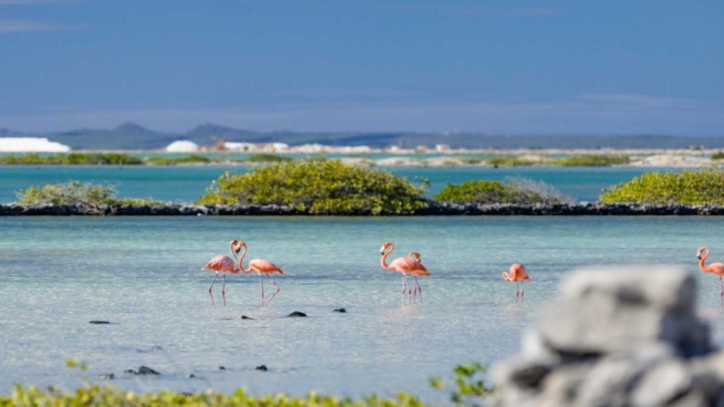 blog subchandlers (1)