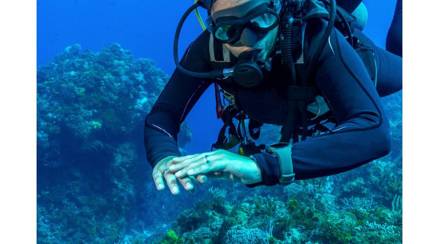 meilleurs ordinateurs plongee 2021