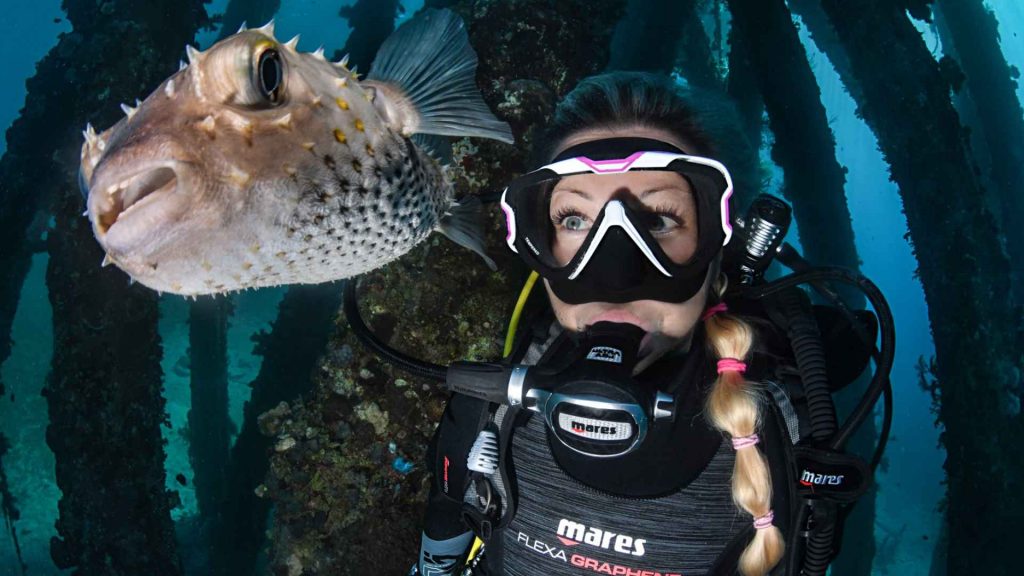 sac etanches subchandlers (1)