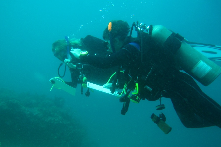 philippines association fonds marins