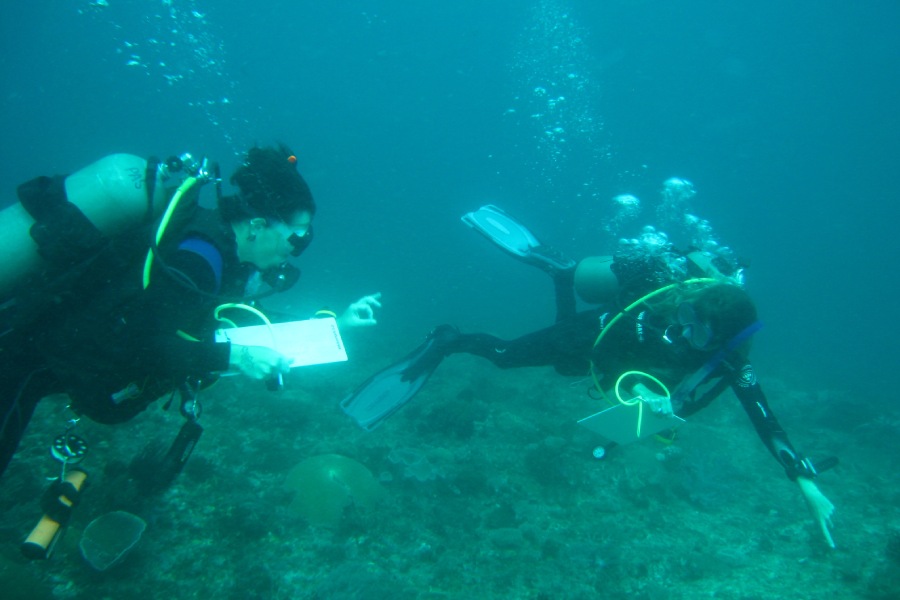 protection fonds marins philippines