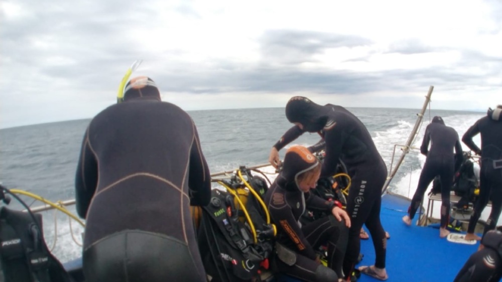 formation owd argonaute ssi