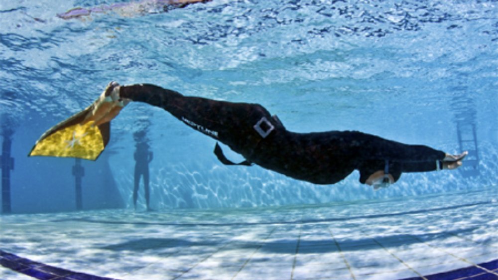 comment-choisir-sa-monopalme