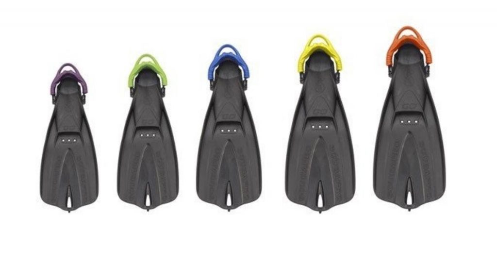 differents-type-de-palmes