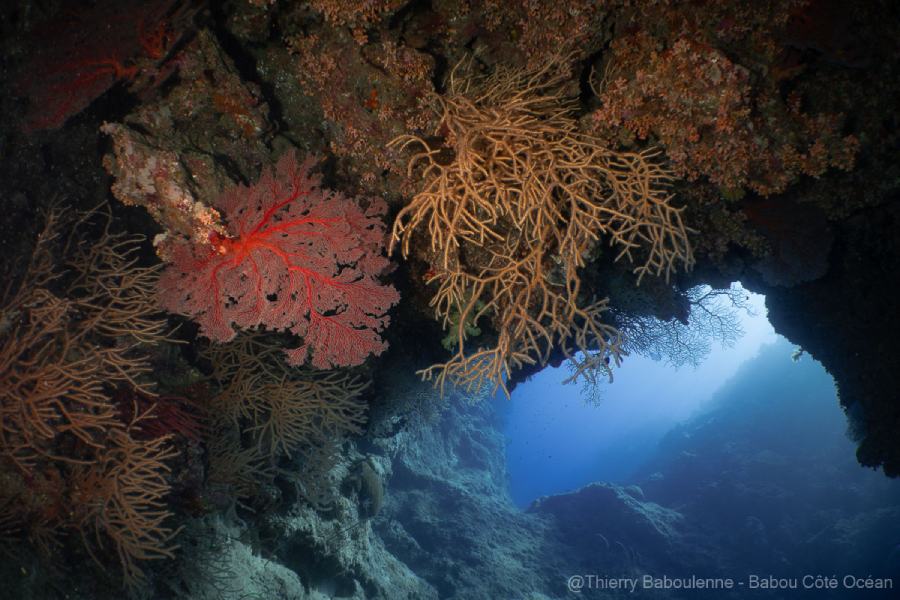 photo caisson nauticam grotte