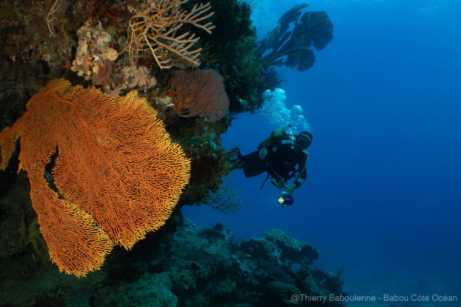 photo caisson nauticam