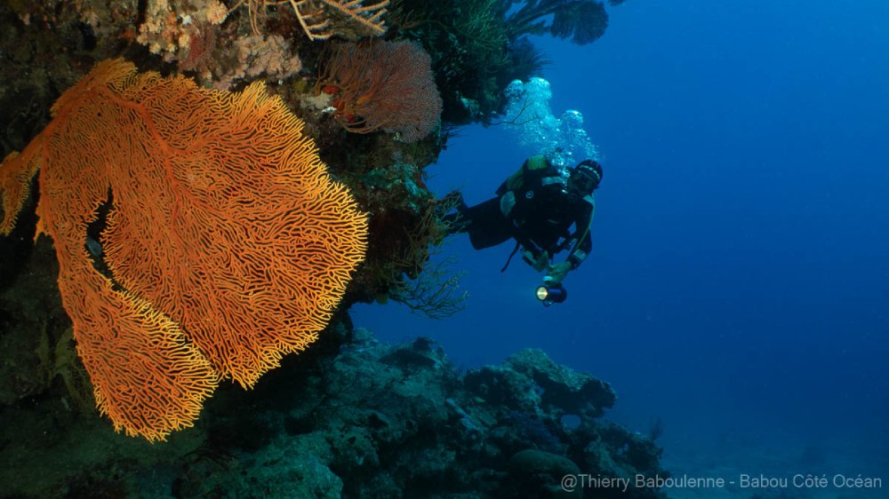 temoignage client subchandlers