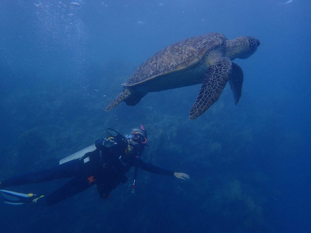 whatsapp image 2021 10 25 at 20.42.51