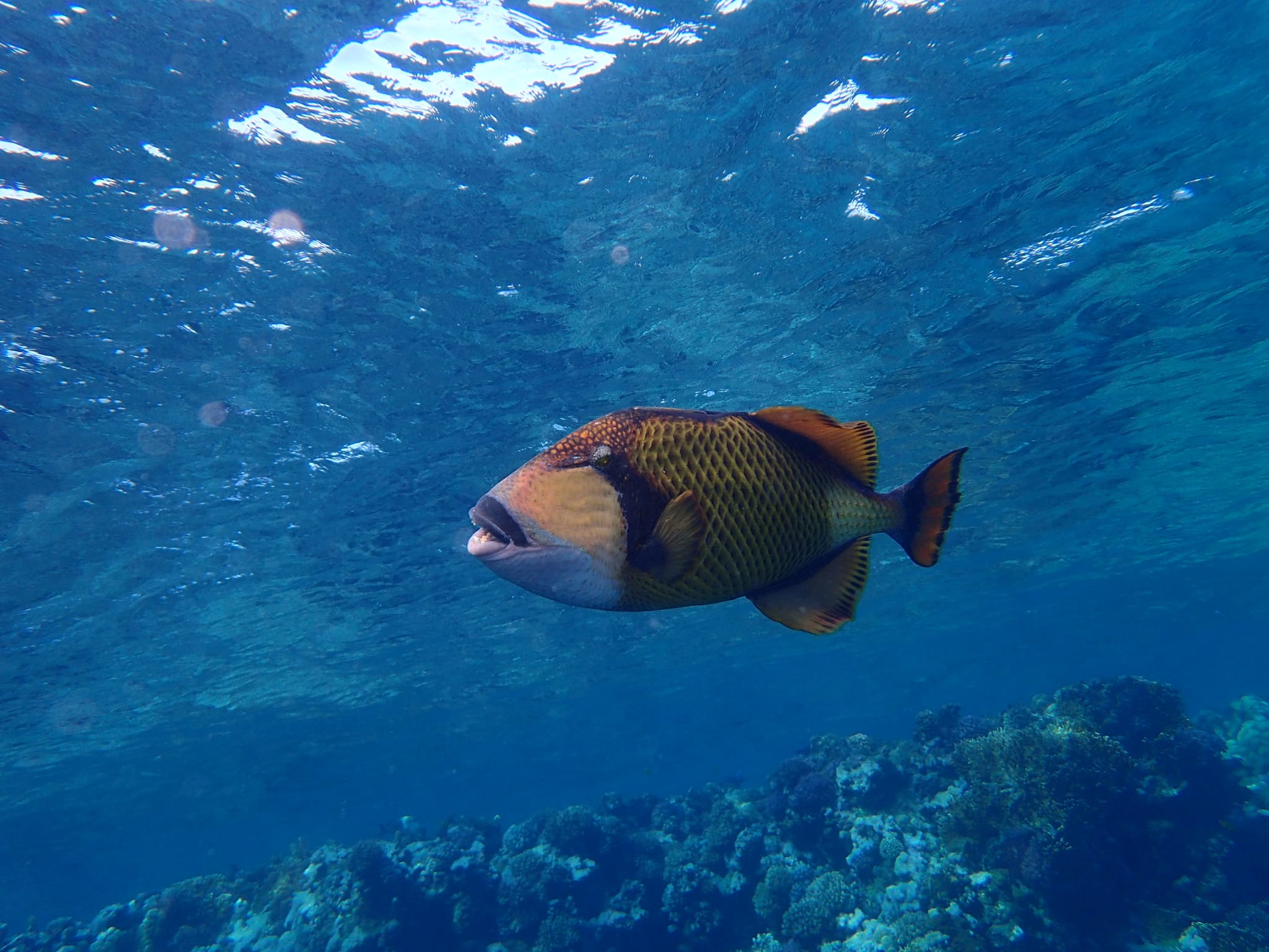 whatsapp image 2021 11 07 at 19.57.05 5