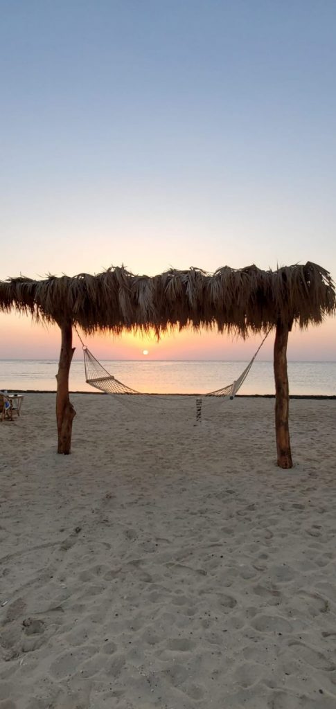 voyage plongee marsa shagra 1