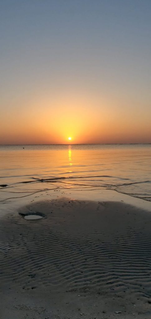 voyage plongee marsa shagra 2