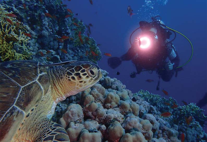 gabarit carte visite 8.5x5.4cm