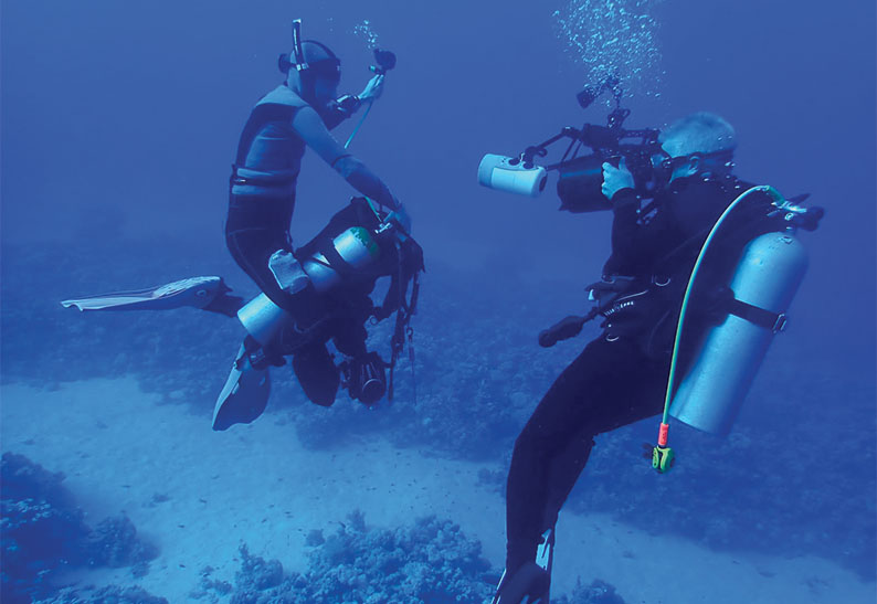 gabarit carte visite 8.5x5.4cm