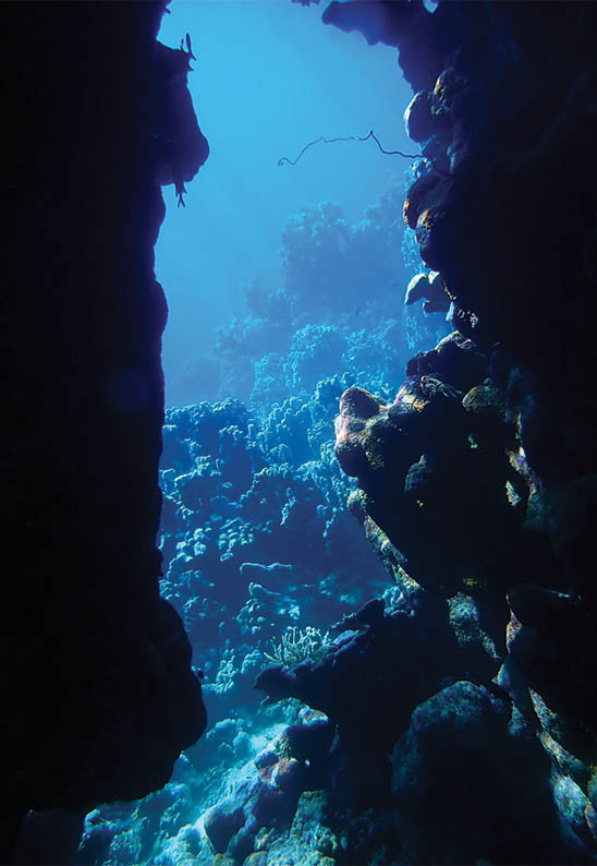 gabarit carte visite 8.5x5.4cm