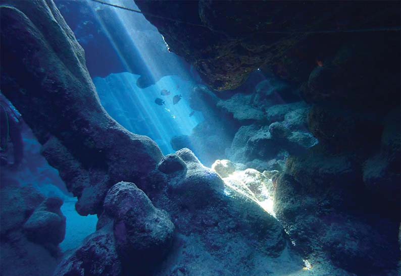 gabarit carte visite 8.5x5.4cm