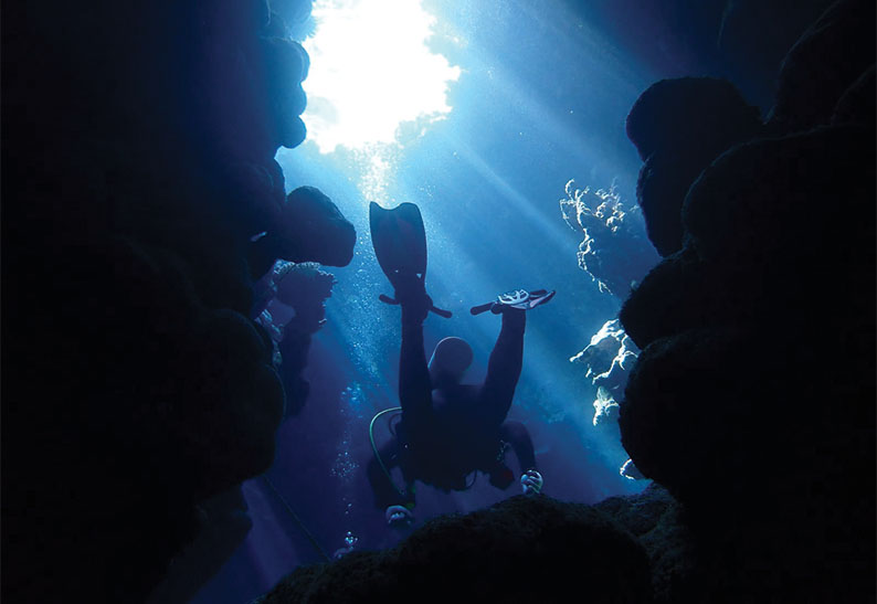 gabarit carte visite 8.5x5.4cm