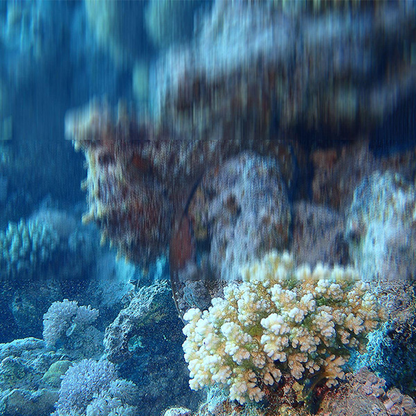 article verre progressif 1