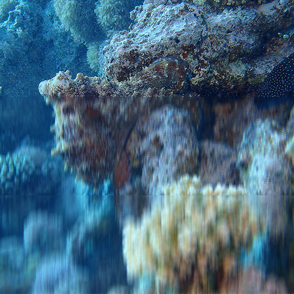 article verre progressif