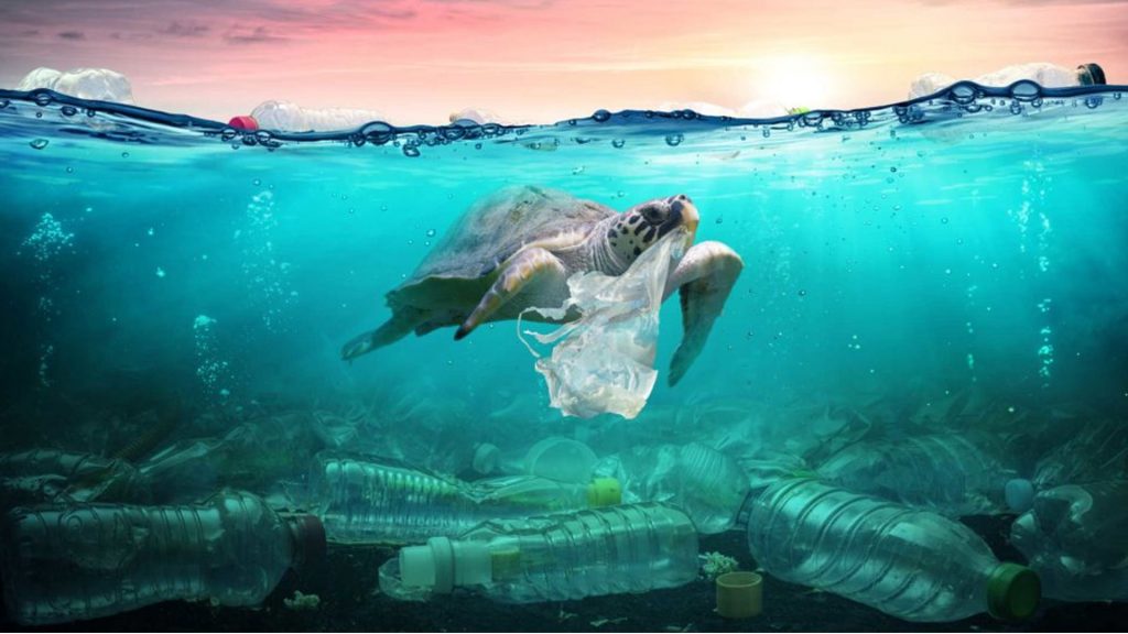 avancees ecoresponsables plongee