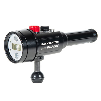 backscatter mini flash 2