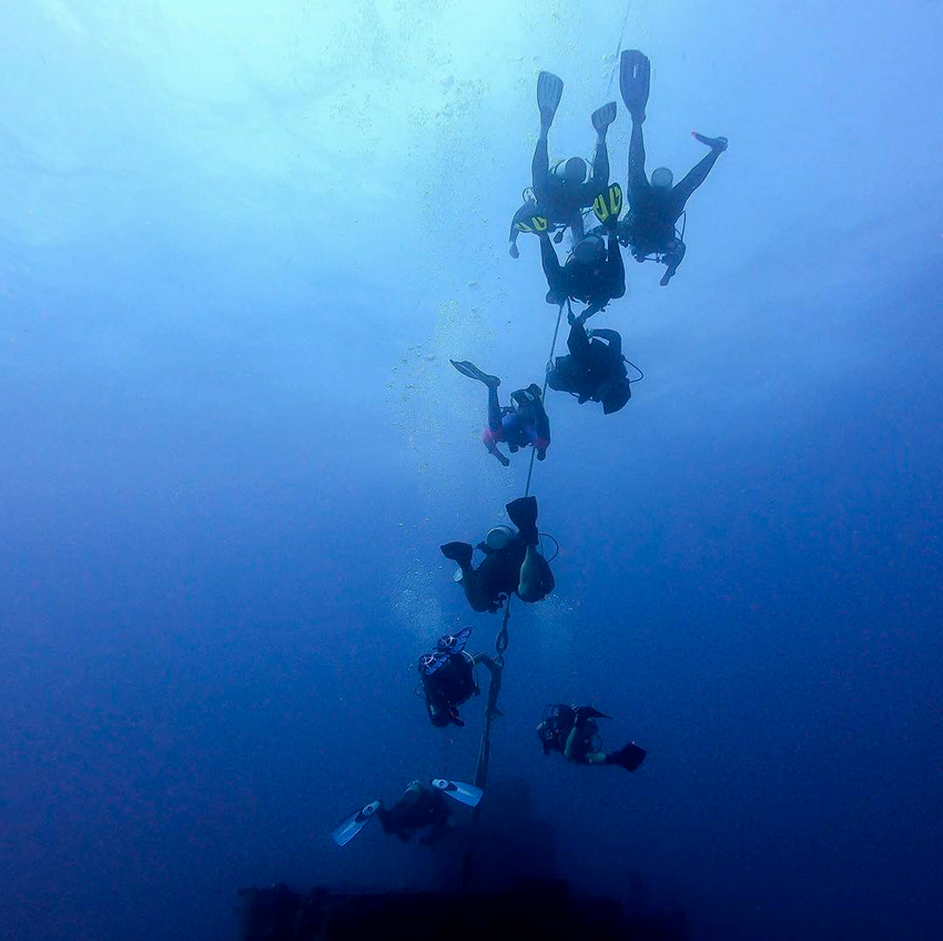 palier de securite 5